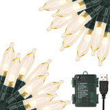 Cool to Touch LED String Lights with Locking Battery Compartment, Worry Free Decor Around Kids Pets and Curtains, Waterproof Battery or USB Powered Lights