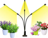 bseah Grow Lamp for Houseplants – Consistent Light for Busy Workdays, USB Desktop Plant Light with 10 Levels