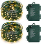 50 Led Warm White - 2 Pack