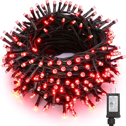 TEEB08KT5DT5G