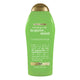 Tea Tree Mint_Old - 25.4 Fl Oz (Pack of 1)