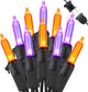 Purple & Orange - 100 LED