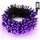 Purple - 240 LED