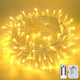 Warm White - 1*100LED