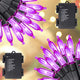 Purple - 2 Pack