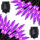 Purple - 50 LEDs x 2 Pack