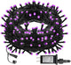 Purple - 300 LED