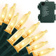 Warm White - 100 LED