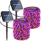 Orange+Purple - 2*120LED