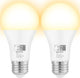 Soft White - A19 2-Pack