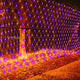 Purple & Orange - Clear Wire