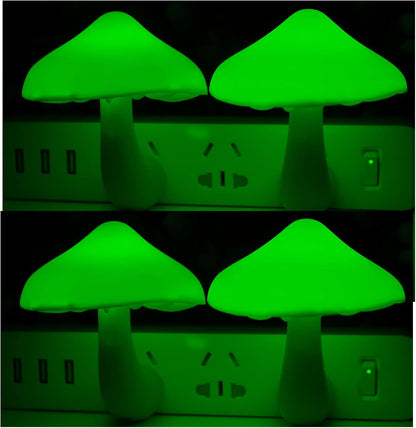 TEEB09XHJJT64