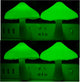 Green - 4 Pack