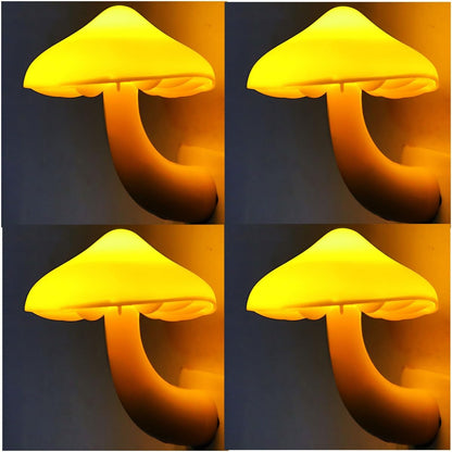 TEEB09XHKN134