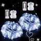 2*100LED - White