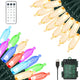 Warm White & Multicolor - 33ft 100 LED