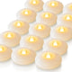 Warm White Light (24Pack, White Shell)