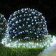 Cool White - 360LED