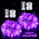 2*100LED - Purple