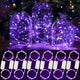 Purple - 12 Pack