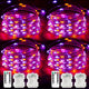 Purple&Orange - 4 Pack
