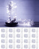 3.3 Feet 20 LED - Cool White