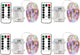 4Pack(3AAA,not included)Multicolor