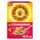 Strawberry - 16.5 Ounce (Pack of 1)