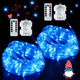 2*100LED - Blue