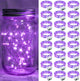 Purple - 24