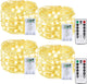 Warm White - 4PK（60LED with Remote）