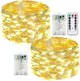 Warm White - 2 pack 50 LED & Remote