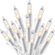 White - 100ct
