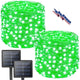 Green - 2 Pack(100LED)