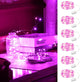Pink - 6 Pack