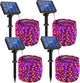 Orange Purple - 4 Pack