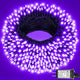 Purple - 100FT 300LED