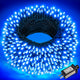 Blue - 100FT 300LED