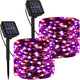 Purple&Orange - 2 Pack