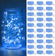 Blue - 30 Pack