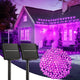 Purple - 2 pack