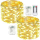 Warm White - 2 pack 100 LED & Remote