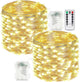 Warm White - 2 pack 200 LED & Remote