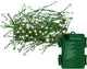 CoolWhite - 200 LED 1Pack