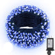 Blue - 264FT 800LED