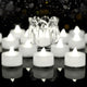 Cool White Light, White Shell - 24-Pack