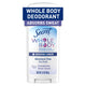 2.4 Ounce (Pack of 1) - Completely Clean Scent