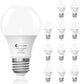 Daylight 5000k - 60W-12 Pcs