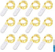 12Pack Warm-White