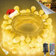 Warm White - 100 LED Connectable with Remote